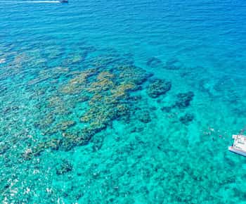 Cayo Hueso: Snorkel de 3 horas por la tarde en el arrecife con bebidas