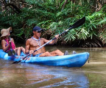 Quepos: Excursión en Kayak por los Manglares Cerca del Parque Manuel Antonio