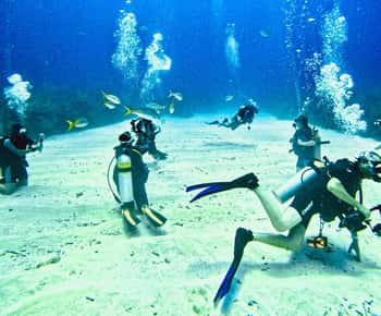 Ambergris Caye: Discover Scuba Diving Experience