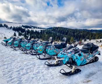 Snowmobile Tour In Bucegi Mountains