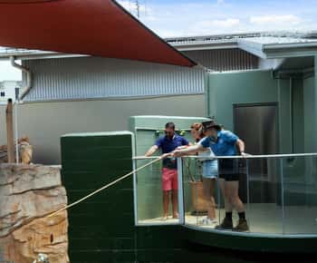VIP Crocosaurus Cove élmény