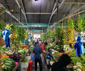 "Scoprire Male": Un tour guidato nel cuore delle Maldive".