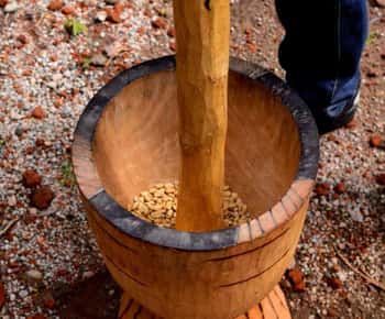 Arusha: Coffee Plantation Tour with Tasting and Hands-On …