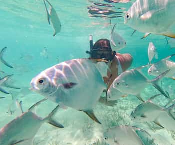 Punta Cana Coral Reef Restoration & Snorkelling Experience