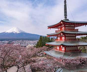 Tokyo: tour del Monte Fuji e del lago Kawaguchiko senza pranzo