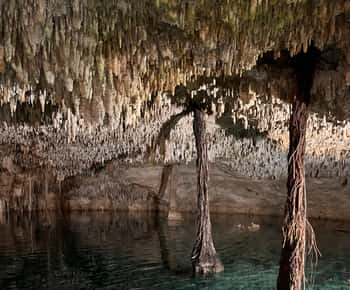 Riviera Maya : Aventure gay dans les cénotes et la jungle