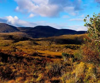 From Killarney: Ring of Kerry Full-Day Tour