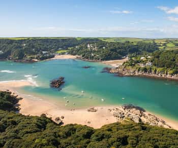 Salcombe: tour in kayak da mare alla scoperta dell'estuario