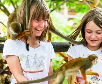 Punta Cana: Monkey Land Half-Day Safari and Plantation
