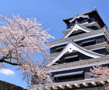 Kumamoto: Kale Giriş Bileti