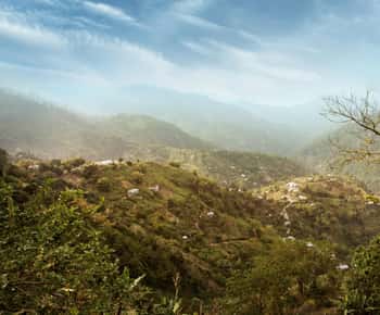 Excursão à Blue Mountain: Uma fuga de meio dia de Kingston