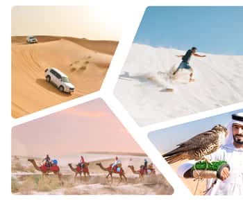 Doha: Dune Safari, Camel Ride, & Sandboarding with Transfer
