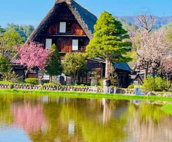 Kanazawa/Toyama'dan: Shirakawago ve Takayama Günübirlik Tur