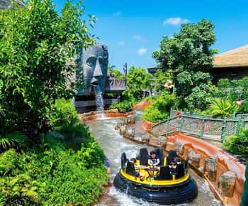 Hong Kong: Ingresso para o Ocean Park + Passe OceanFasTrack