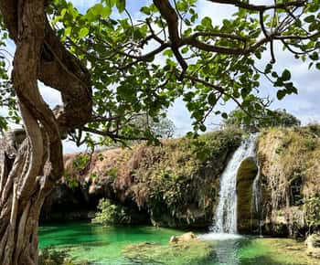 Elite Private Full Day Tour - Salalah Main Attractions
