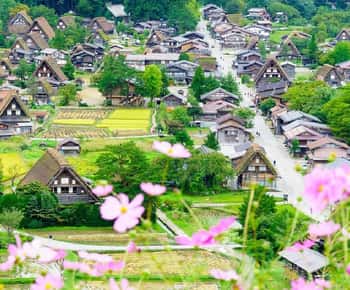 名古屋発：白川郷＆飛騨高山 1日ツアー