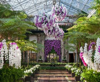 Kennett Square : Billets d'entrée pour les jardins de Longwood