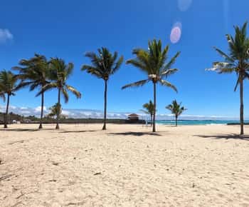 De Puerto Ayora: Excursão de um dia à Ilha Isabela e à Ilhota Tintorera