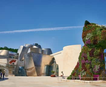 Visite guidée extérieure et accès au musée Guggenheim (ES)