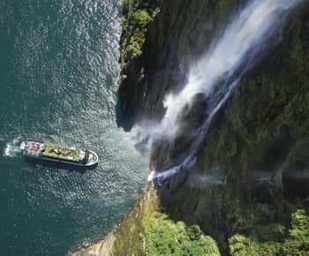 Milford Sound: Wilderness Cruise with Nature Guide