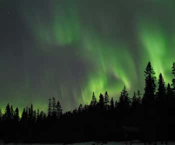 Luleå: Northern Lights Tour by Car with Guide