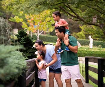 Mornington Peninsula: Enchanted Adventure General Admission