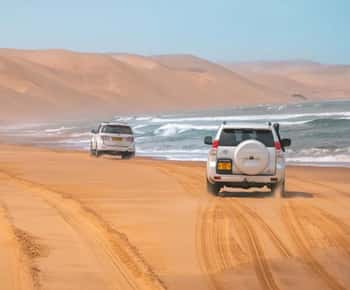 Doha: Dune Bashing, kameliratsastus.