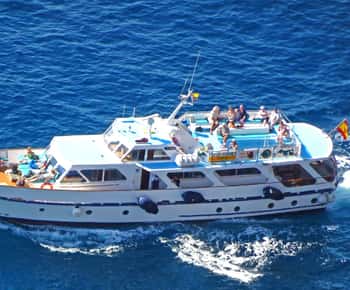 La Gomera: Tour di avvistamento delle balene in barca d'epoca