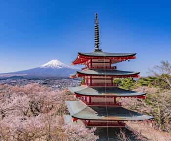 From Tokyo:Mt.Fuji &Hakone Trip with English Speaking guide