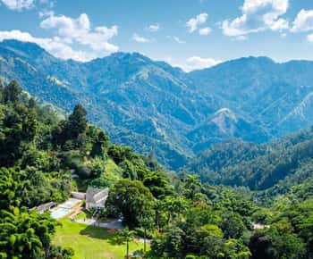 Excursão compartilhada/privada de dia inteiro às Blue Mountains - Principais atrações