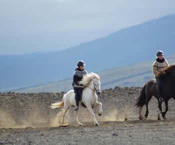 North Iceland: Horseback Riding Tour