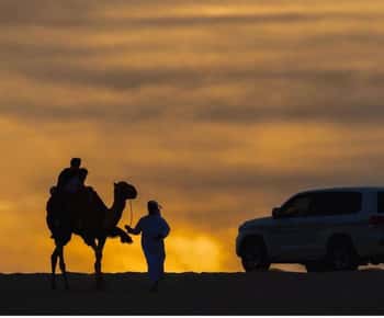 Doha: Stargazing Desert Safari w/ Dune Bashing & Camel Ride