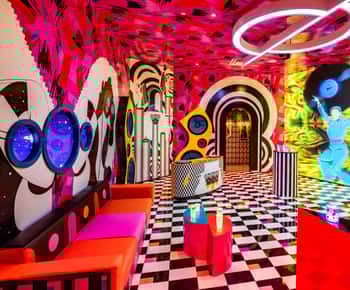 Houston: Meow Wolf - Radio Tave Ticket