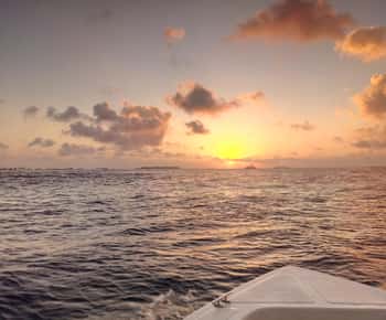 Maldive: crociera al tramonto con avvistamento dei delfini