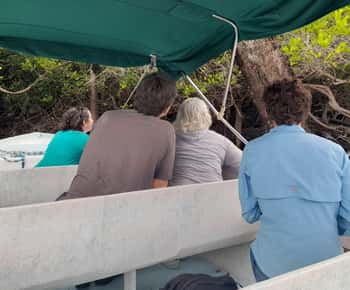 Belize City: Lamanai Mayan Site Tour and Jungle Boat Ride