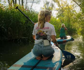 Biesbosch: SUP Board Verhuur