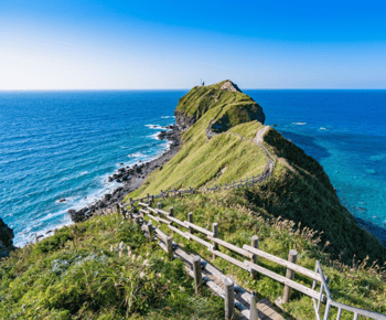 Hokkaido, Sappro,Otaru & Cape Kamui| One-day tour
