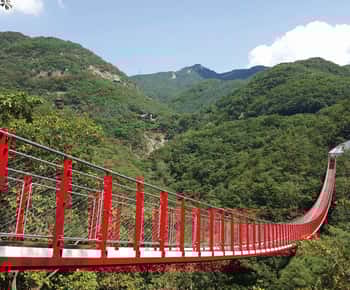 DMZ (3. Tunnel)+Hängebrücke Geführte private Tour