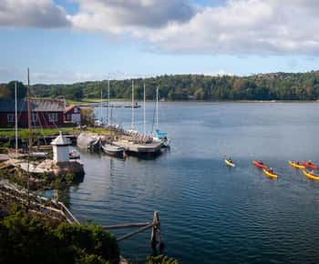 Oeste de Suecia: Delicias en kayak de mar en reservas naturales