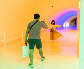 The Museum of Fine Arts, Houston Ticket