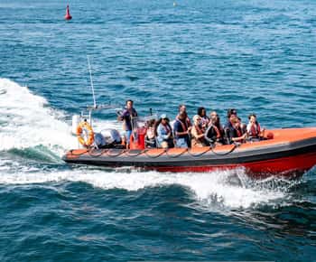 Torquay: 1-stündige Bootsfahrt mit dem Coastal Explorer