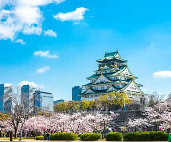 Osaka: 1-tägige private, anpassbare Tagestour mit dem Auto