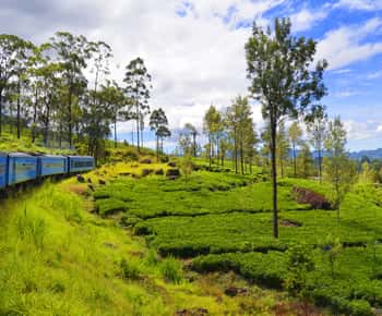 Da Kandy: tour di 4 giorni nella regione collinare dello Sri Lanka con Udawalawe