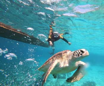 Gili Islands: Private or Shared Snorkeling Boat Trip