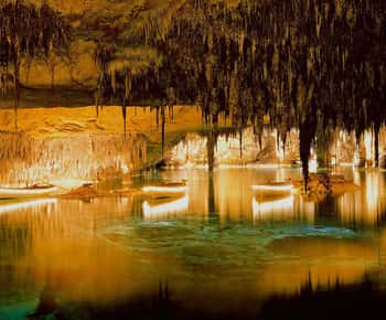 Mallorca: een halve dag vol natuurlijke wonderen in de Drach-grotten
