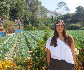 Cameron Highlands Tour