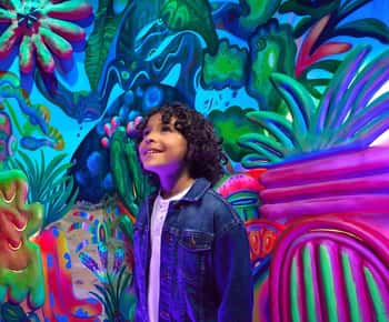 Meow Wolf The Real Unreal Ticket