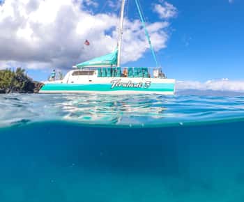 Maui: Kaanapali Beach 5-hr Snorkel w/ BBQ Lunch & Open Bar