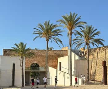 Palma in person and away from the crowds
