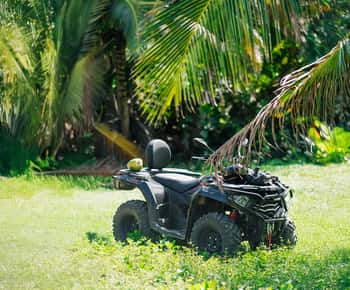 Excursão de quadriciclo em Punta Cana com praias secretas e palmeirais